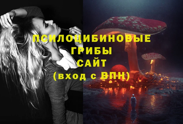 гидра Киреевск