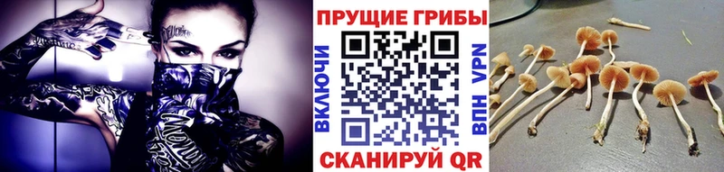 Псилоцибиновые грибы мухоморы  Чайковский 